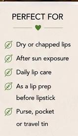 Spearmint Lip Balm – Fresh Mint Lip Care, Nourishing Vegan Balm for Dry Lips, Handmade 15ml Tin